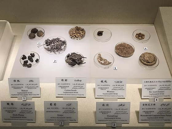 A museum case of Tang-dynasty foods from the Astana Cemetery, including a dried wonton and a crescent dumpling, each on a glass dish with a label.