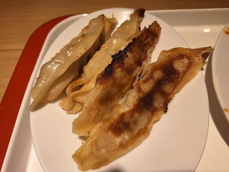 Long open-ended guotie, browned on one side