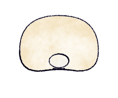 Step 4: Pinch the corners together: a ring, like an ear